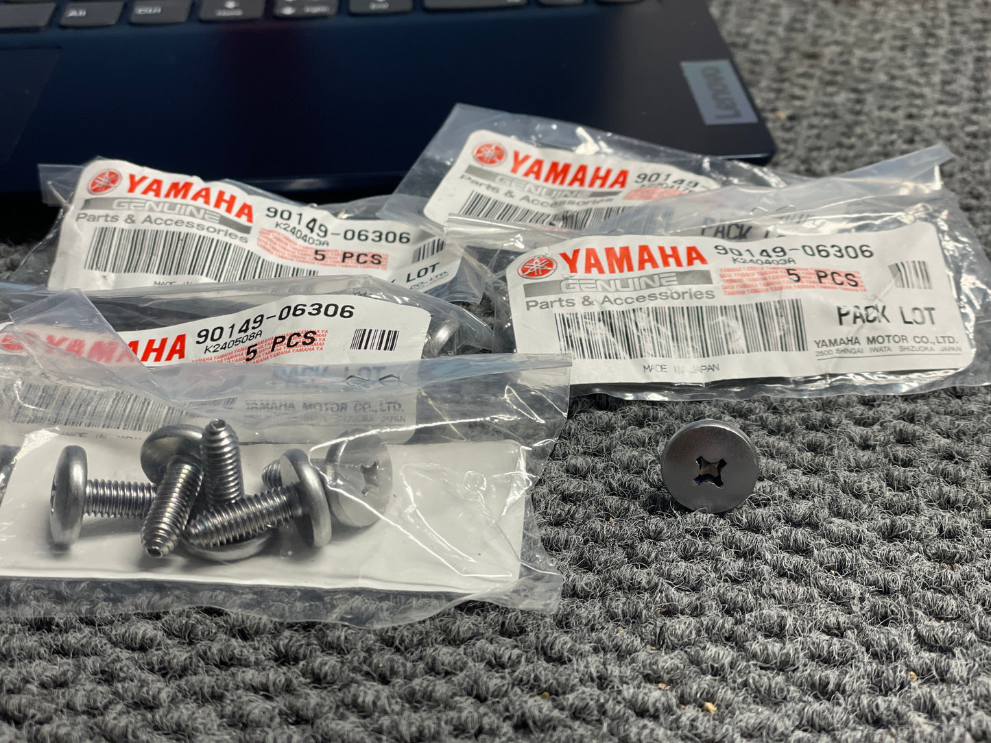 Ignition Coil Screws