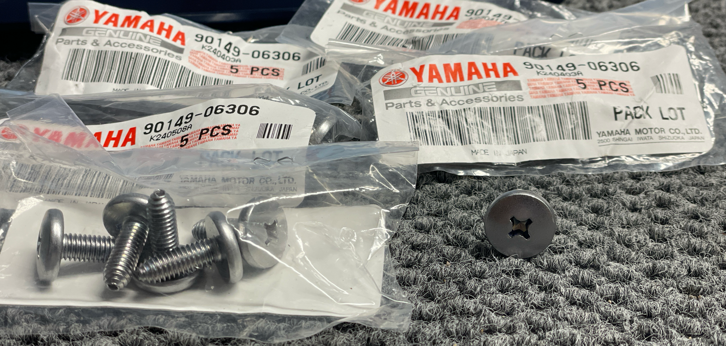 Ignition Coil Screws