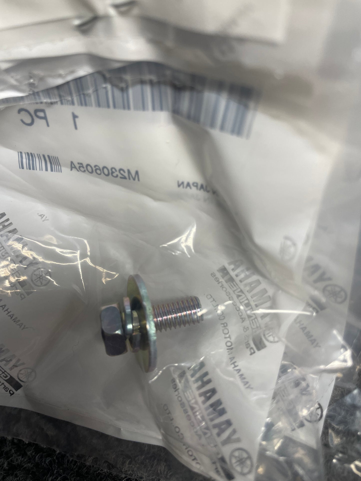 Bolt with Washer